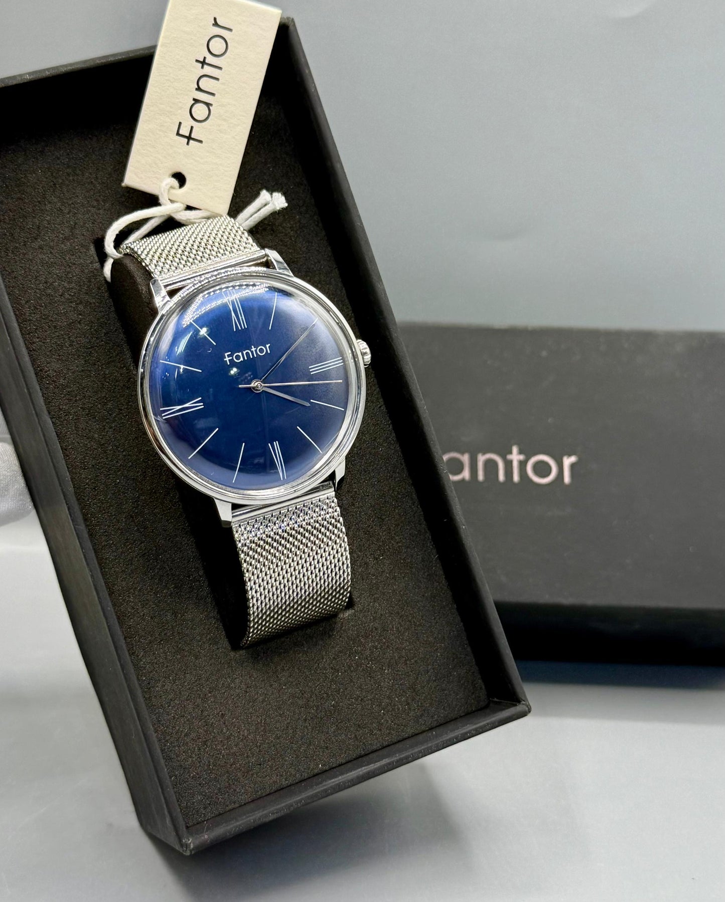 Fantor Silver mesh watch with box
