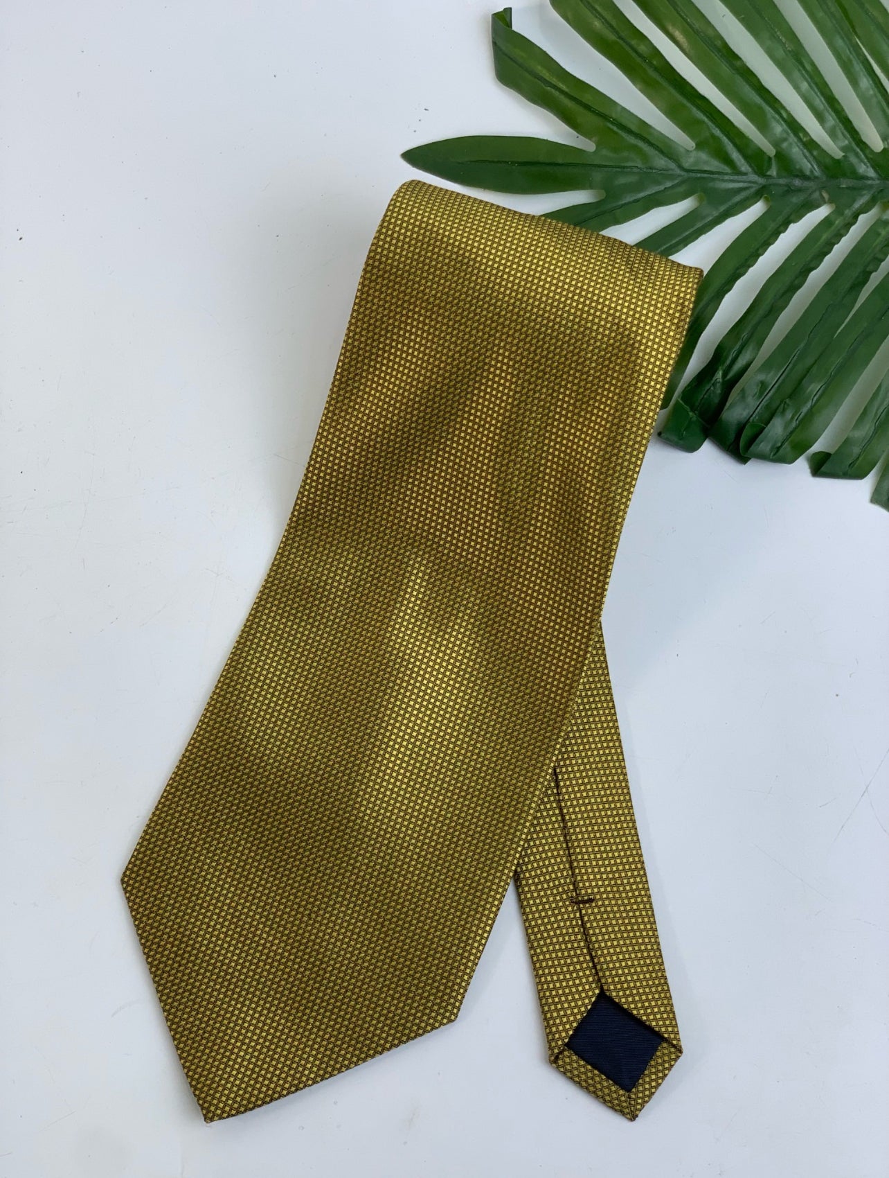 Hold detailed tie  foreign