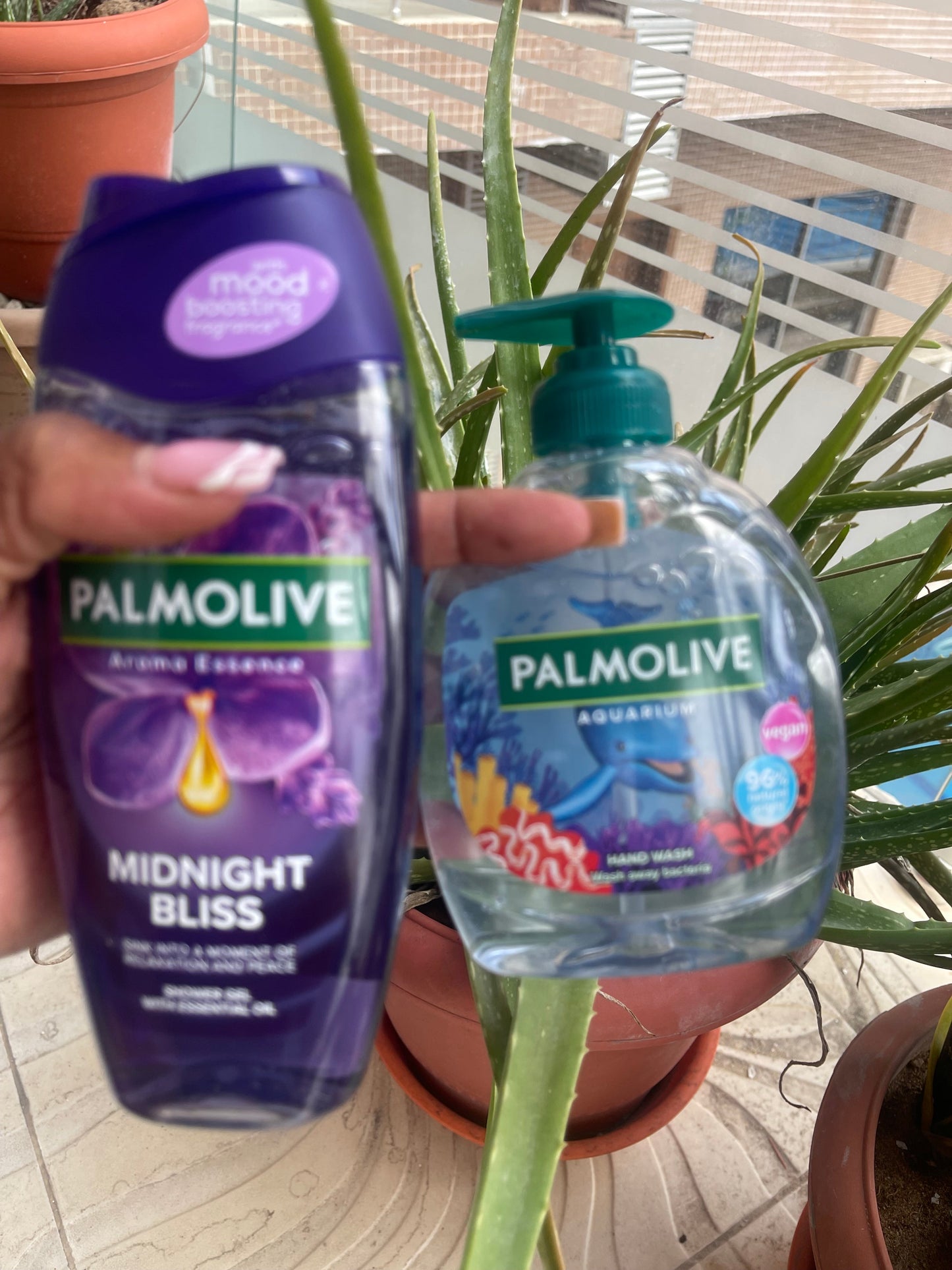 Palm olive combo deal