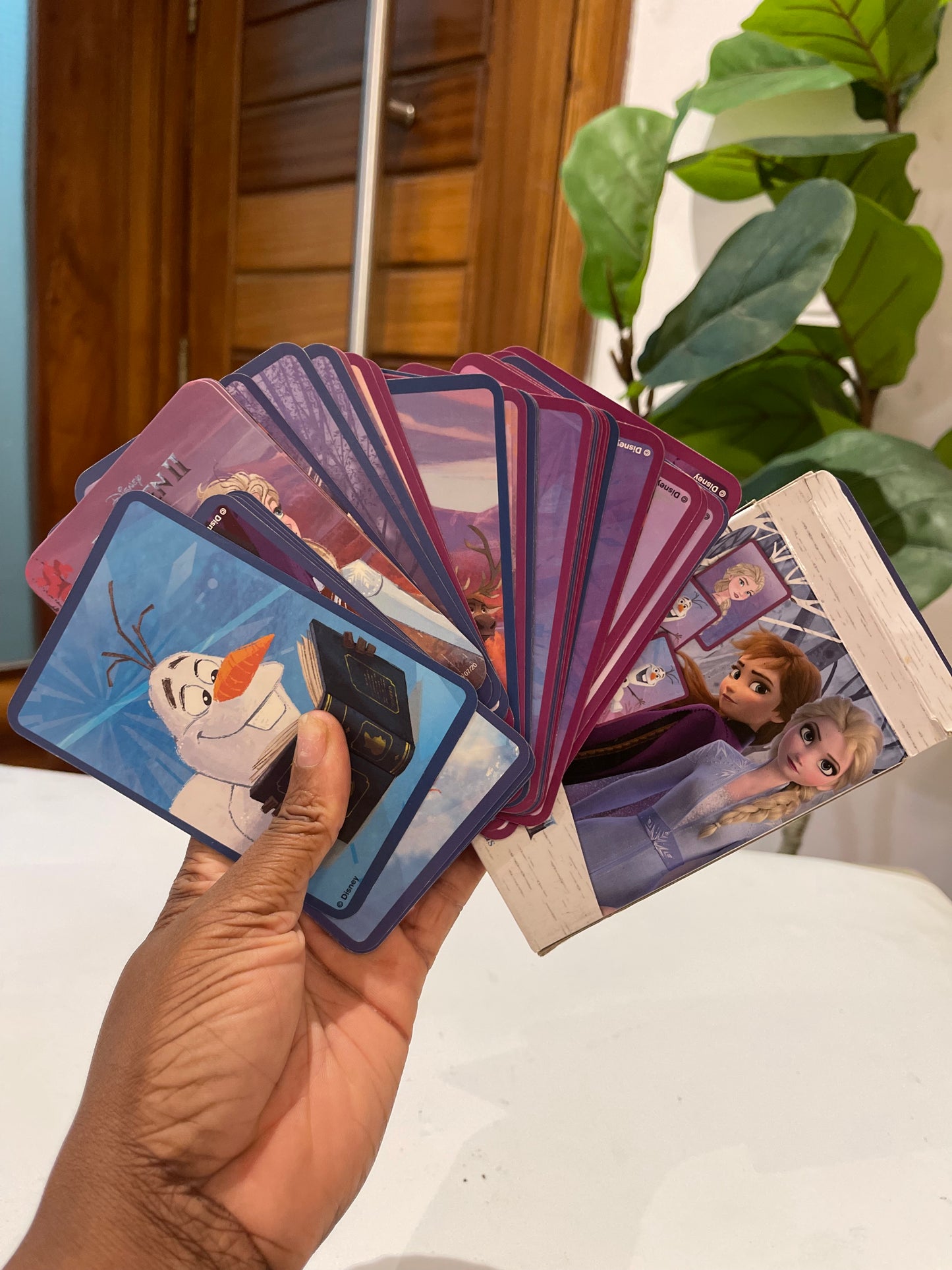 Frozen flash cards