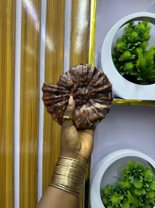 Brown shell inspired purse