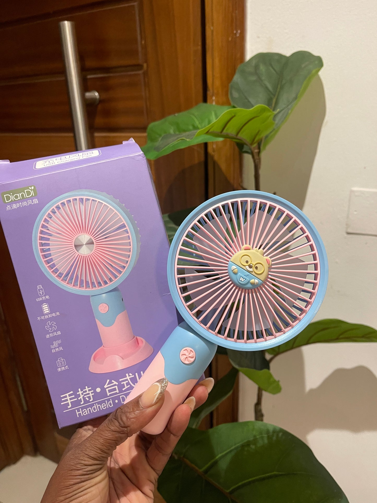 Rechargeable fan