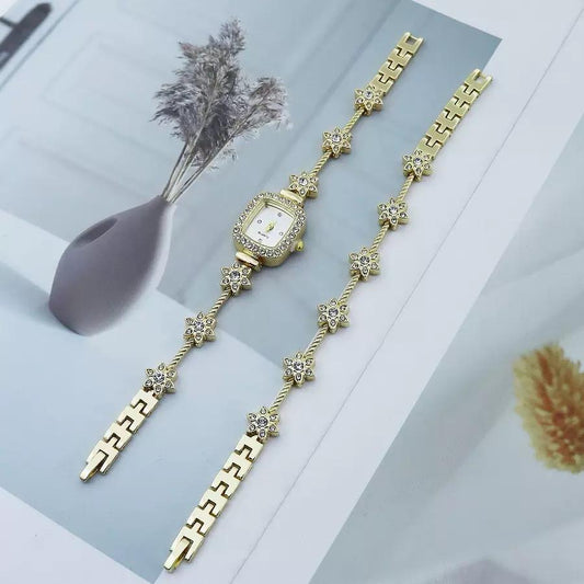 Bracelet and wristwatch combo