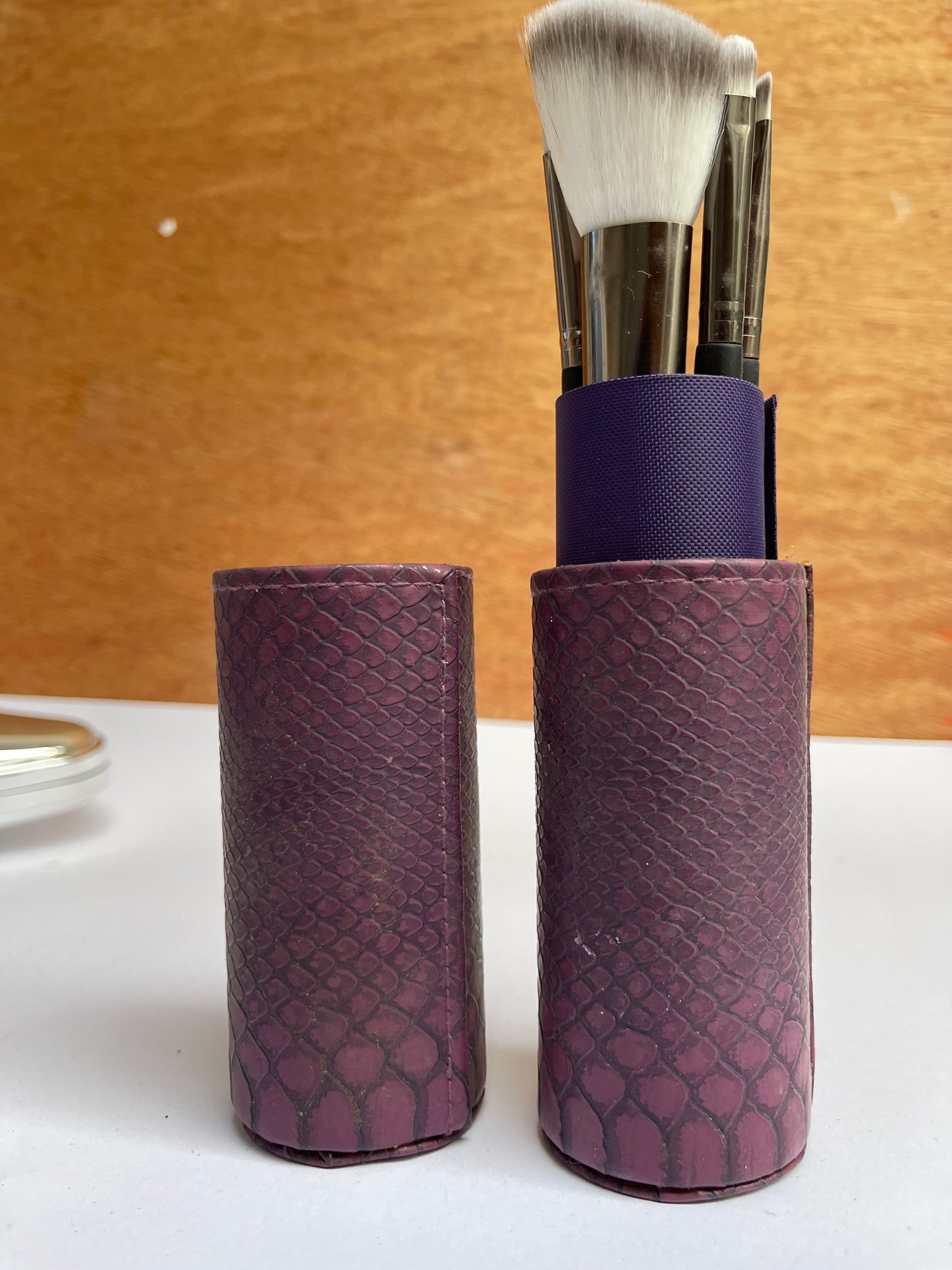 Beauty Makeup Brush with container